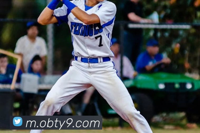 ob欧宝官网平台生态图