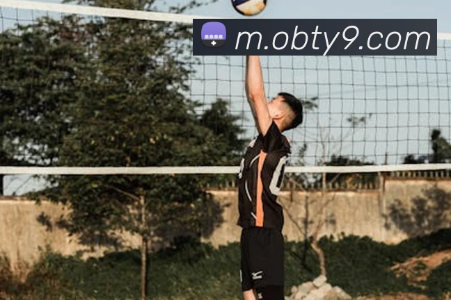 ob欧宝官网APP 封面图